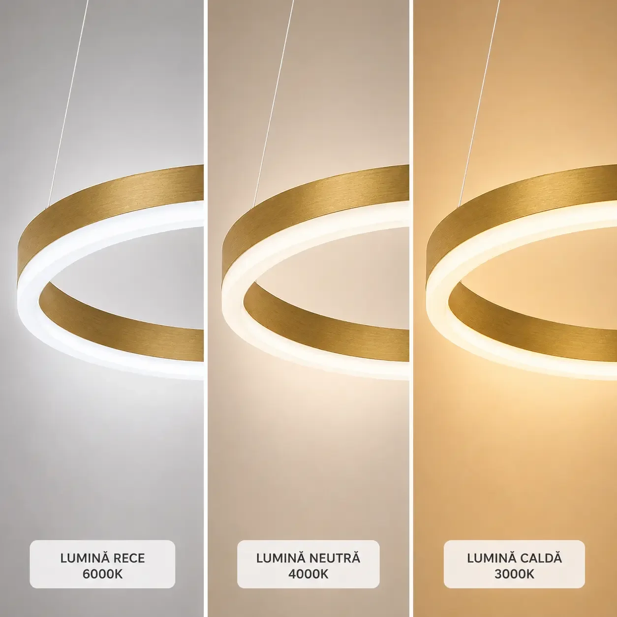 Vega-Lustra led cerc Diam.80cm