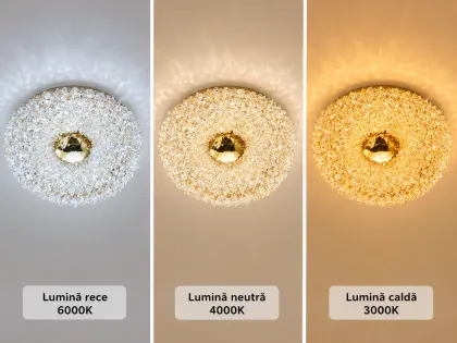 Celia-plafoniera led Diam.30cm cu pietre de cristal